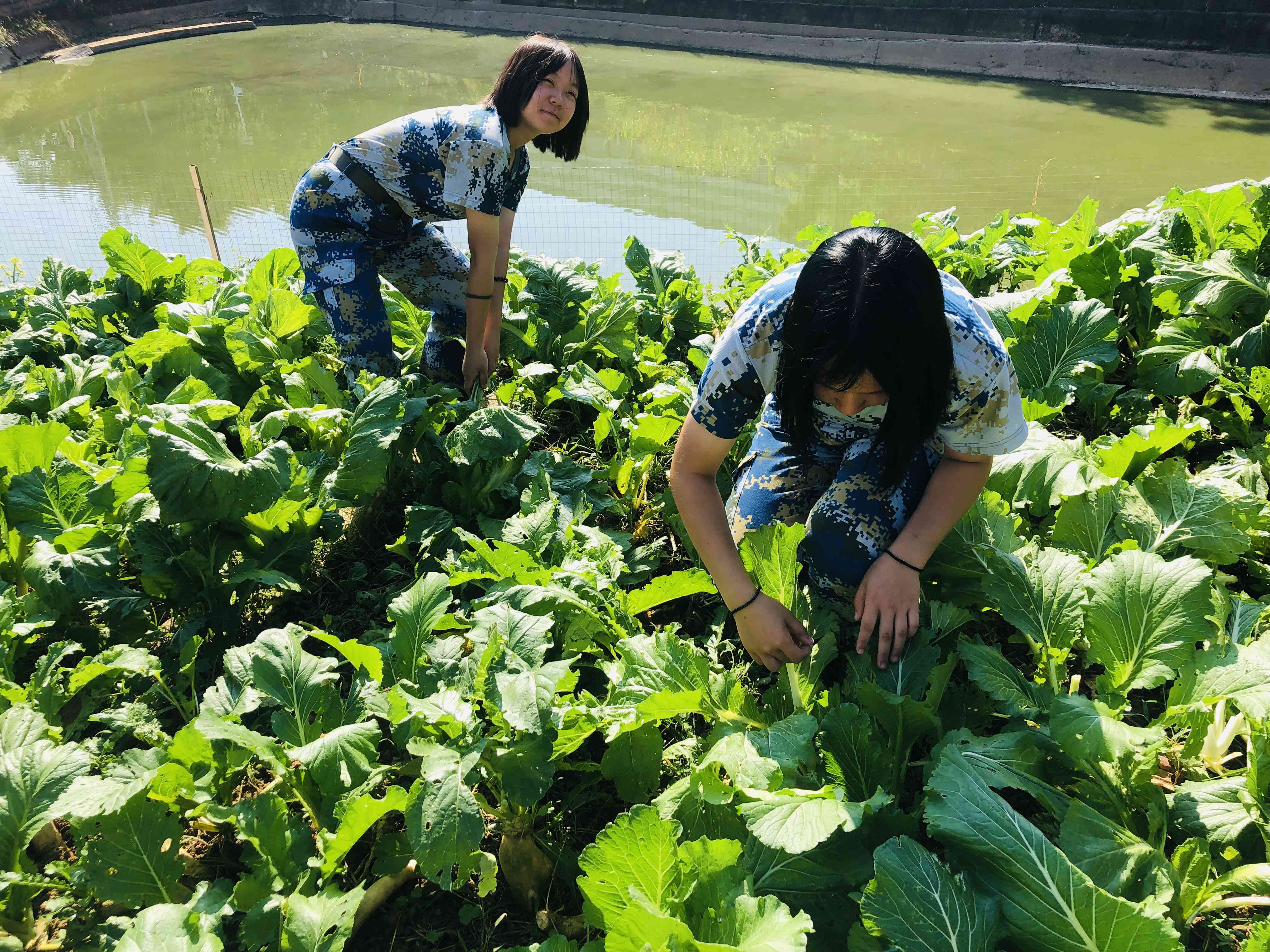 江門哪裏有軍事(shì)化學校哪裏好(hǎo)